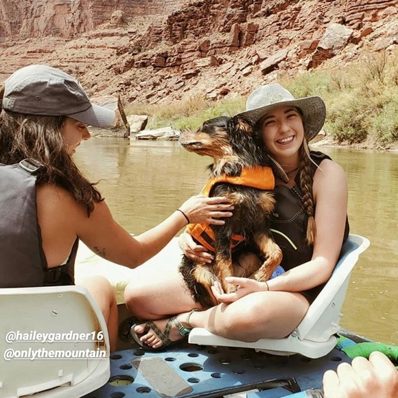 Meet your Posher, Daisy - Picture 2 of 3